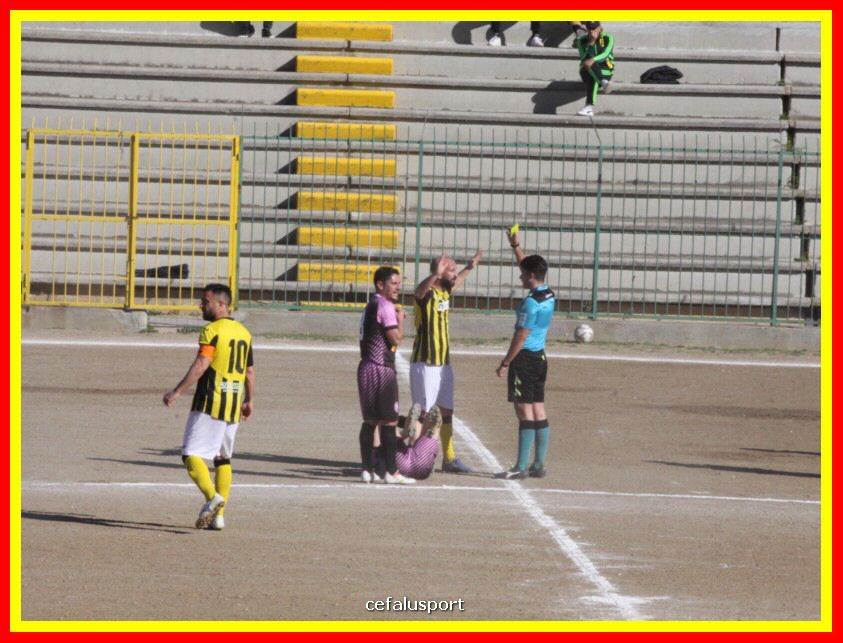 190310 Cephal_Torrenov 067_tn.jpg